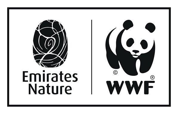 Wwf Logo